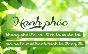 Hạnh phúc là biết đủ